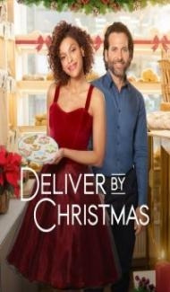 Delivery by Christmas (2022) Hindi Dubbed Full Movie