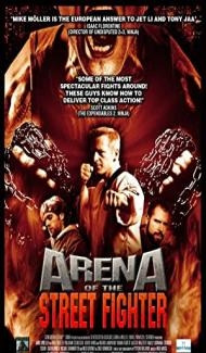 Arena of the Street Fighter (2012) Hindi Dubbed Full Movie