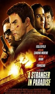 A Stranger In Paradise (2013) Hindi Dubbed Full Movie