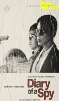 Diary of a Spy (2022) Hindi Dubbed Full Movie