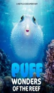 Puff Wonders of the Reef (2021) Hindi Dubbed Full Movie
