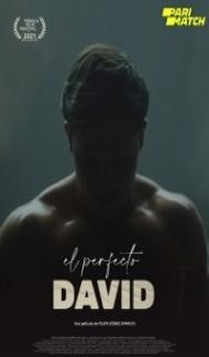 El perfecto David (2021) Hindi Dubbed Full Movie