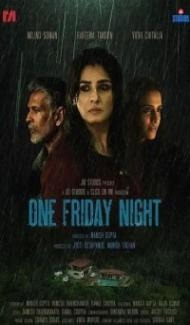 One Friday Night (2023) Hindi Movie Full Movie