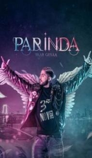 Parinda Paar Geyaa (2023) Punjabi Movie Full Movie