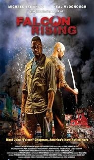 Falcon Rising (2014) Hindi Dubbed Full Movie