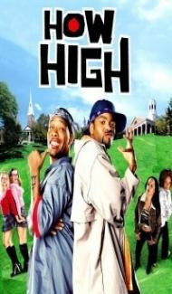 How High (2001) Hindi Dubbed Full Movie
