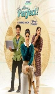 Miss Perfect (2023) Season 1 Hindi Web Series Full Movie