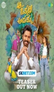 Aa Okkati Adakku (2024) South Indian Hindi Dubbed Movie Full Movie