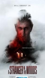 A Stranger in the Woods (2024) Hindi Dubbed Full Movie