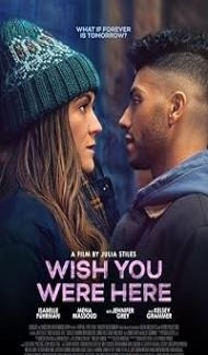 Wish You Were Here (2025) Hindi Dubbed Movie Full Movie