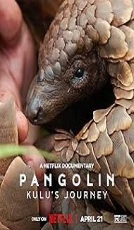 Pangolin Kulus Journey (2025) Hindi Dubbed Movie Full Movie