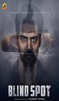 Blind Spot (2025) Hindi Dubbed Movie Full Movie