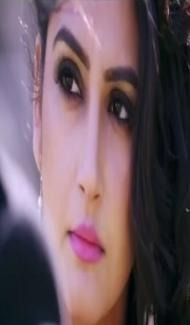 Shamshir Power (2018) South Indian Hindi Dubbed Movie Full Movie