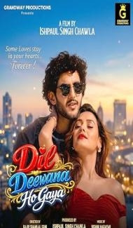 Dil Deewana Ho Gaya (2026) Hindi Movie Full Movie