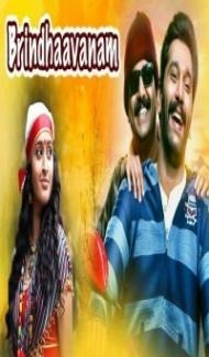 Brindavanam (2019) South Hindi Dubbed Movie Full Movie