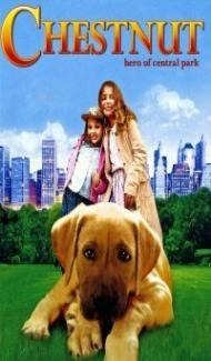 Chestnut Hero of Central Park (2004) Hindi Dubbed Full Movie