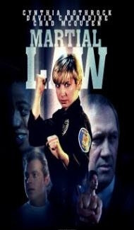 Martial Law (1990) Hindi Dubbed Full Movie