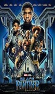 Black Panther (2018) Dual Audio Hindi Dubbed Full Movie