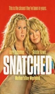 Snatched (2017) Dual Audio Hindi Dubbed Full Movie