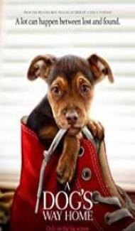 A Dogs Way Home (2019) English Movie Full Movie