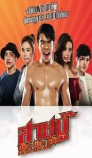 Fist of Stardom (2019) Hindi Dubbed Full Movie
