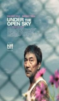 Under the Open Sky (2020) Hindi Dubbed Full Movie