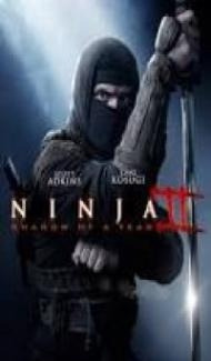 Ninja Shadow of a Tear (2013) Dual Audio Hindi Dubbed Full Movie
