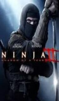 Ninja Shadow of a Tear (2013) Hindi Dubbed Full Movie