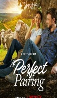 A Perfect Pairing (2022) Hindi Dubbed Full Movie
