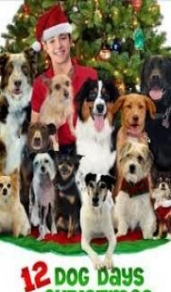 12 Dog Days Till Christmas (2014) Hindi Dubbed Full Movie