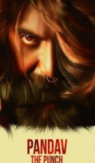 Pandav The Punch (2020) South Indian Hindi Dubbed Movie Full Movie