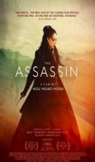 The Assassin (2015) Hindi Dubbed Full Movie