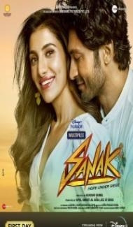 Sanak (2021) Hindi Movie Full Movie