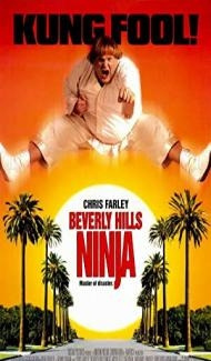 Beverly Hills Ninja (1997) Hindi Dubbed Full Movie